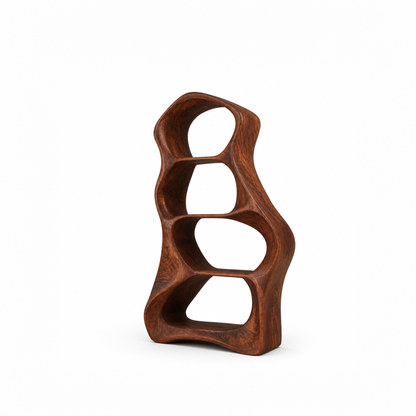 Organic Sculptural Wooden Open Bookshelf