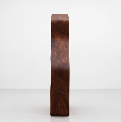 Organic Sculptural Wooden Open Bookshelf