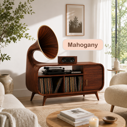 Mid-Century Modern Vinyl Storage Turntable Console