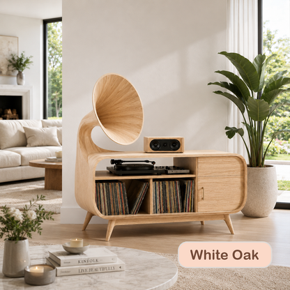 Mid-Century Modern Vinyl Storage Turntable Console