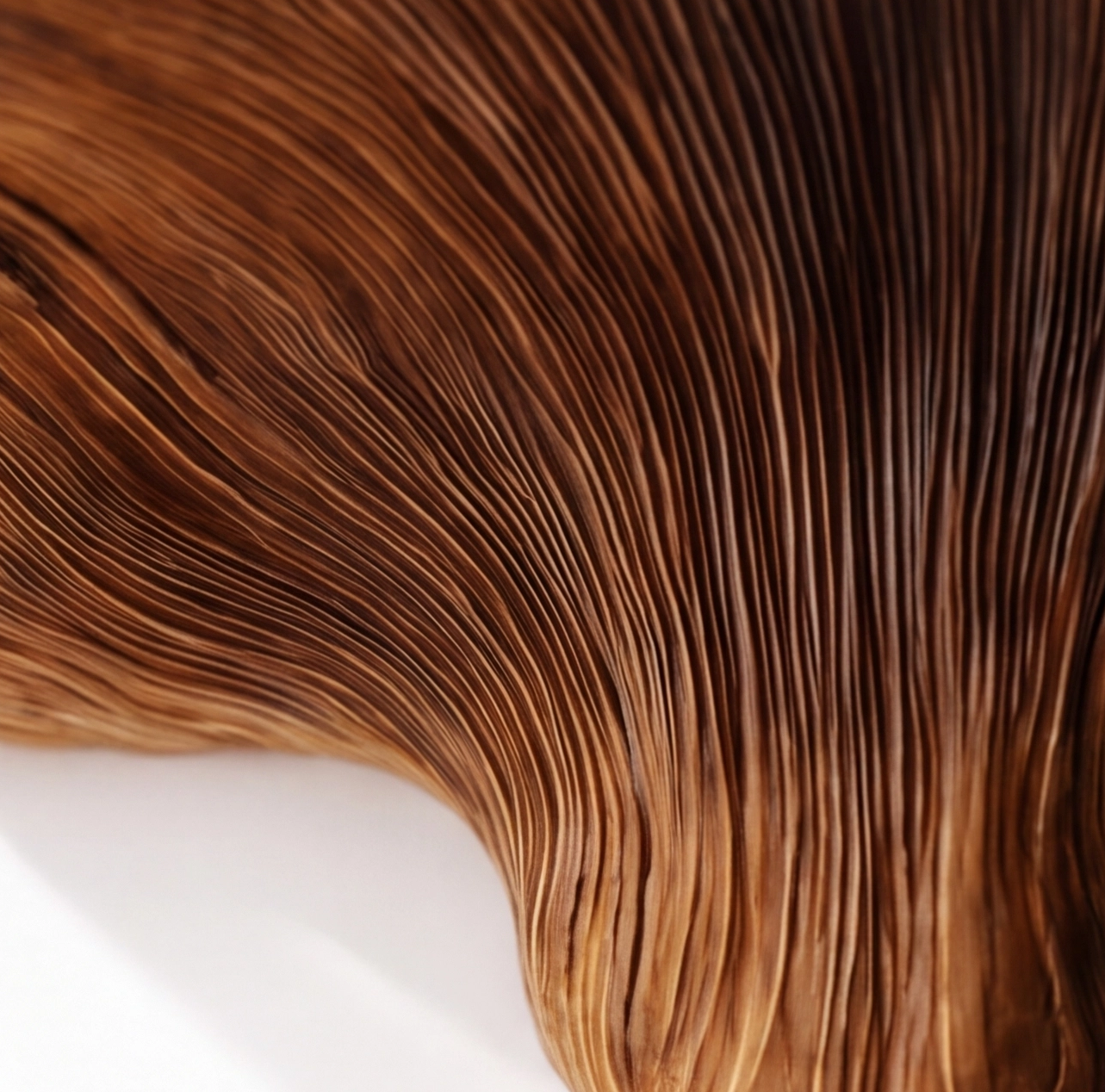 Sculptural Solid Wood Mushroom Floating Shelf