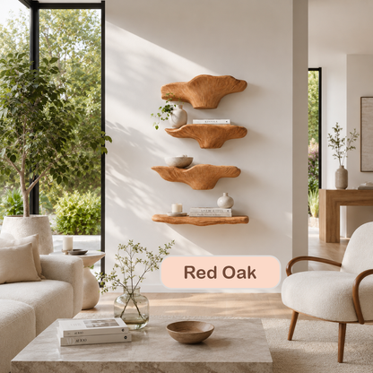 Organic Solid Wood Fungi Floating Shelves